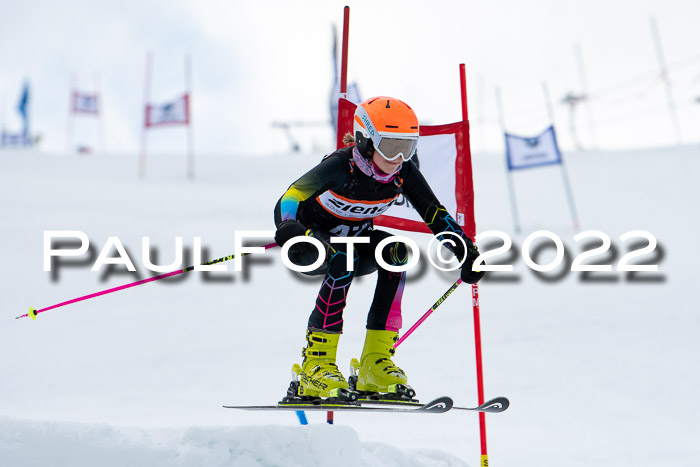 Ziener Kids Race Cross U12  Reg III + Ziener Cup WF