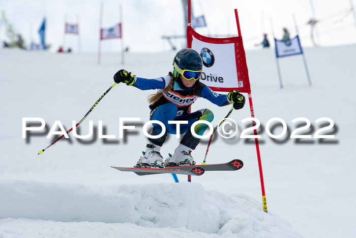 Ziener Kids Race Cross U12  Reg III + Ziener Cup WF