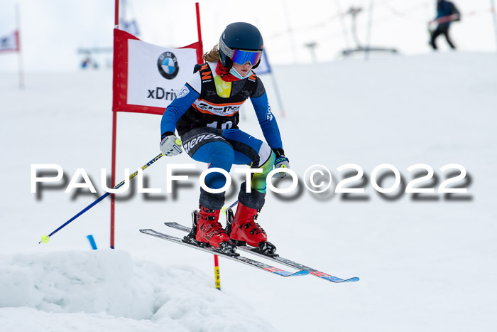 Ziener Kids Race Cross U12  Reg III + Ziener Cup WF