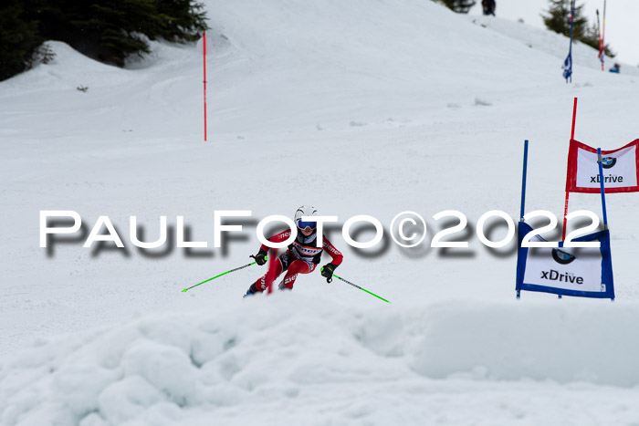 Ziener Kids Race Cross U12  Reg III + Ziener Cup WF