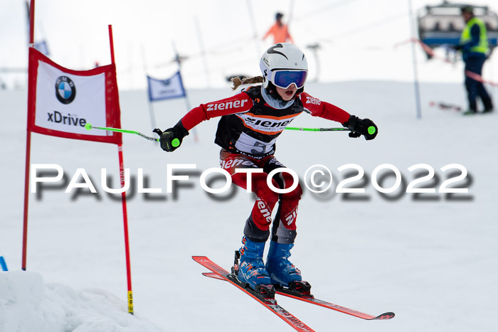 Ziener Kids Race Cross U12  Reg III + Ziener Cup WF