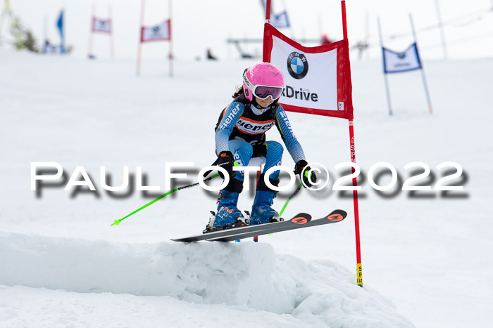 Ziener Kids Race Cross U12  Reg III + Ziener Cup WF