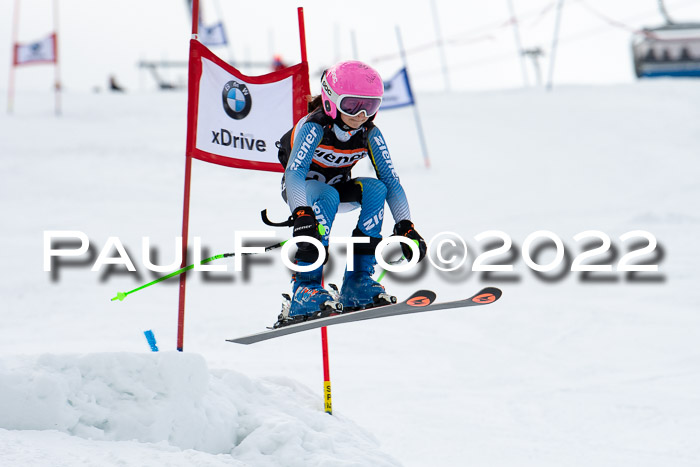 Ziener Kids Race Cross U12  Reg III + Ziener Cup WF