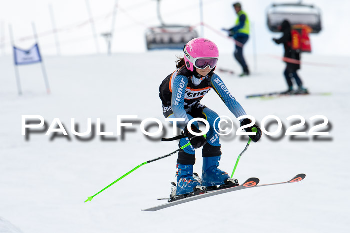 Ziener Kids Race Cross U12  Reg III + Ziener Cup WF