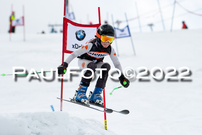 Ziener Kids Race Cross U12  Reg III + Ziener Cup WF