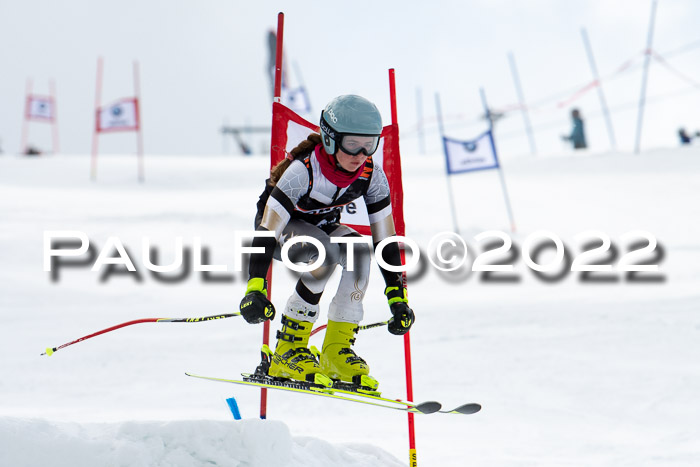 Ziener Kids Race Cross U12  Reg III + Ziener Cup WF