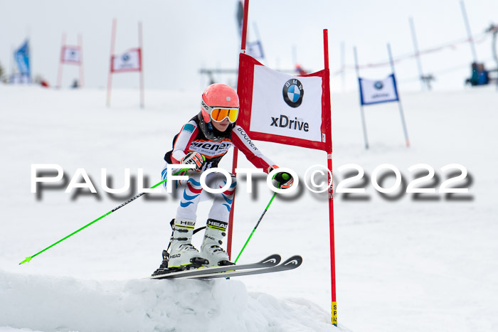 Ziener Kids Race Cross U12  Reg III + Ziener Cup WF