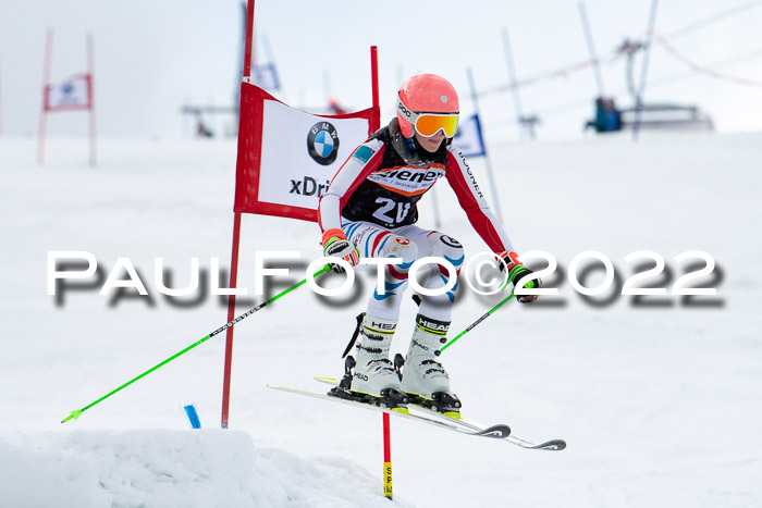 Ziener Kids Race Cross U12  Reg III + Ziener Cup WF