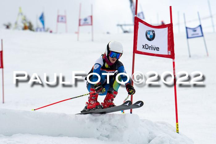 Ziener Kids Race Cross U12  Reg III + Ziener Cup WF