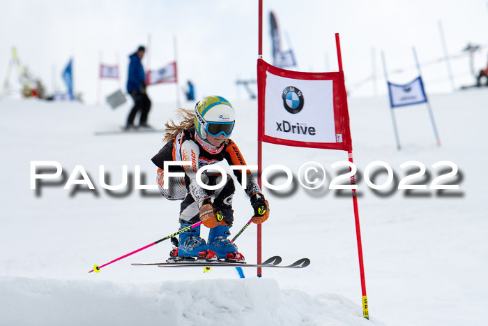 Ziener Kids Race Cross U12  Reg III + Ziener Cup WF