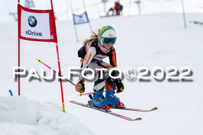 Ziener Kids Race Cross U12  Reg III + Ziener Cup WF