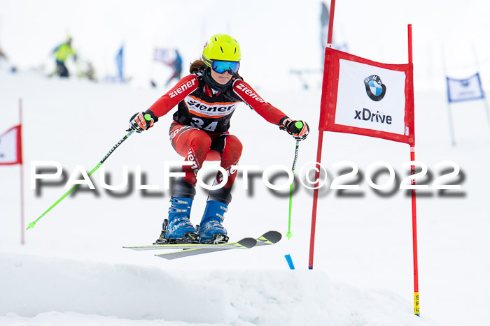 Ziener Kids Race Cross U12  Reg III + Ziener Cup WF