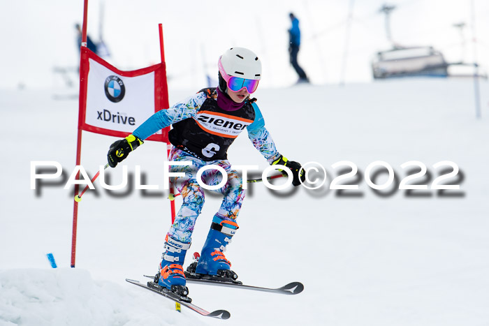 Ziener Kids Race Cross U12  Reg III + Ziener Cup WF