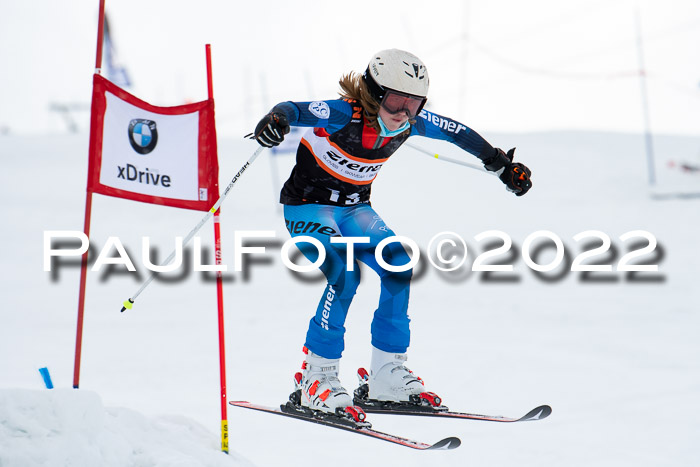 Ziener Kids Race Cross U12  Reg III + Ziener Cup WF