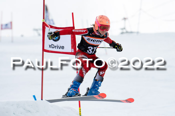 Ziener Kids Race Cross U12  Reg III + Ziener Cup WF