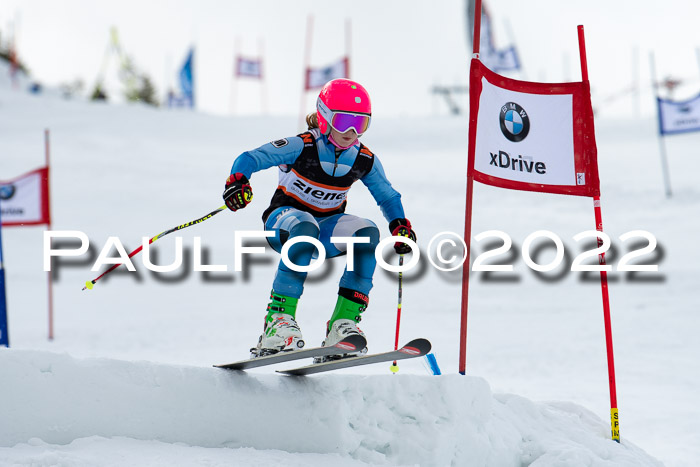 Ziener Kids Race Cross U12  Reg III + Ziener Cup WF