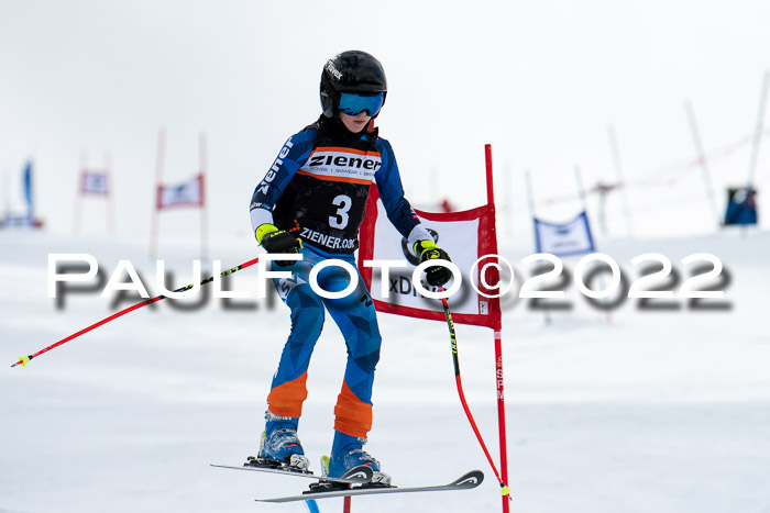 Ziener Kids Race Cross U12  Reg III + Ziener Cup WF