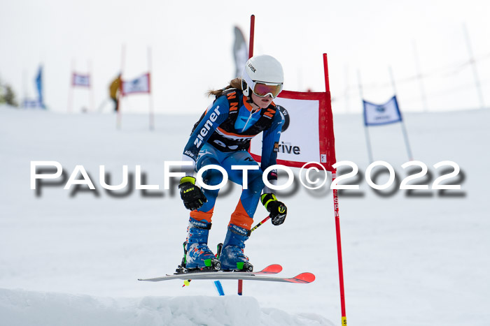 Ziener Kids Race Cross U12  Reg III + Ziener Cup WF