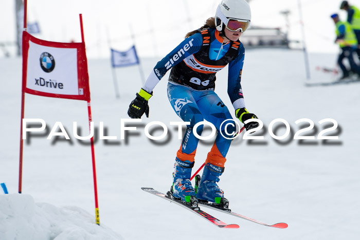 Ziener Kids Race Cross U12  Reg III + Ziener Cup WF