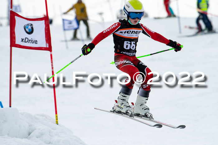 Ziener Kids Race Cross U12  Reg III + Ziener Cup WF