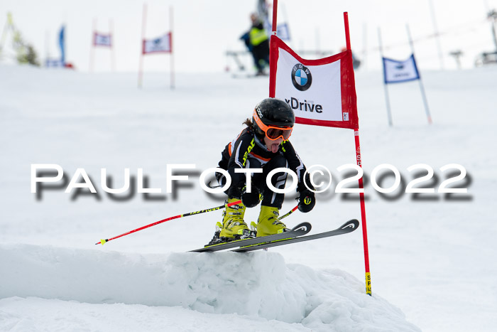 Ziener Kids Race Cross U12  Reg III + Ziener Cup WF