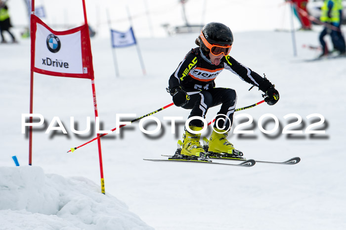 Ziener Kids Race Cross U12  Reg III + Ziener Cup WF