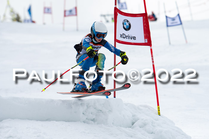 Ziener Kids Race Cross U12  Reg III + Ziener Cup WF