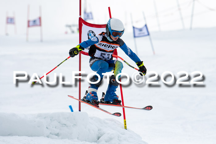 Ziener Kids Race Cross U12  Reg III + Ziener Cup WF