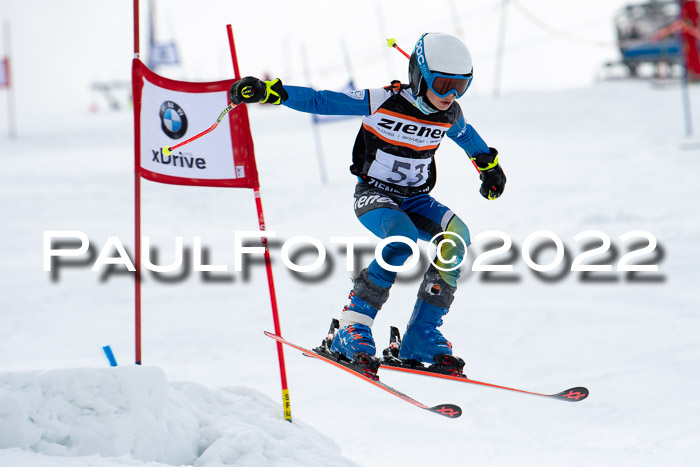 Ziener Kids Race Cross U12  Reg III + Ziener Cup WF