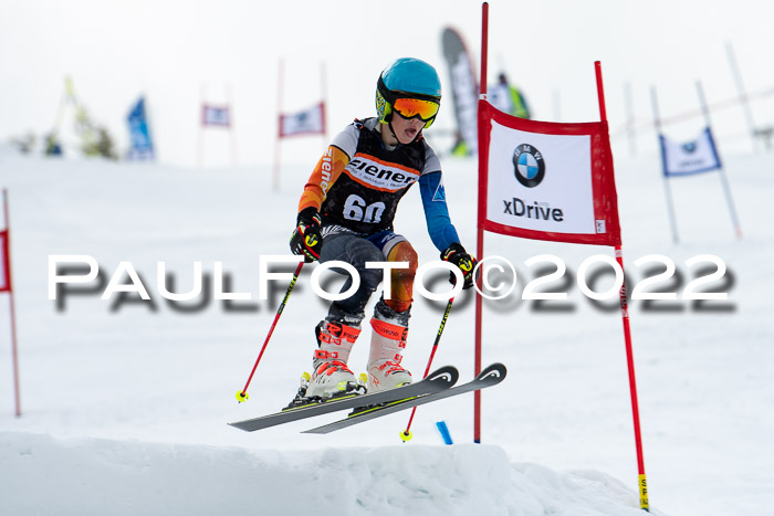 Ziener Kids Race Cross U12  Reg III + Ziener Cup WF