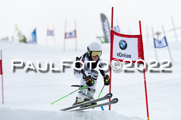 Ziener Kids Race Cross U12  Reg III + Ziener Cup WF