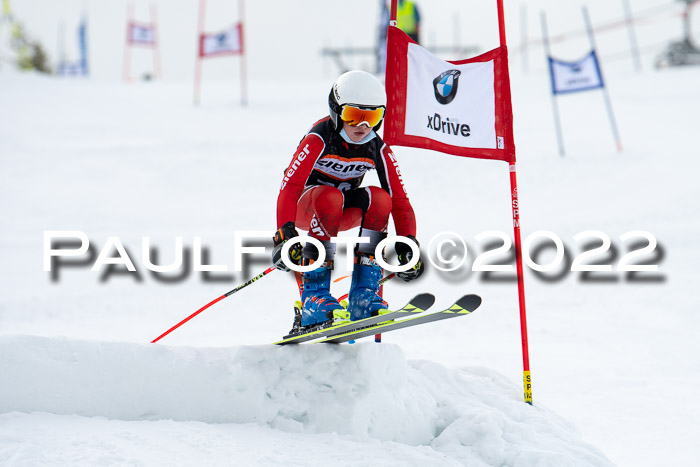 Ziener Kids Race Cross U12  Reg III + Ziener Cup WF