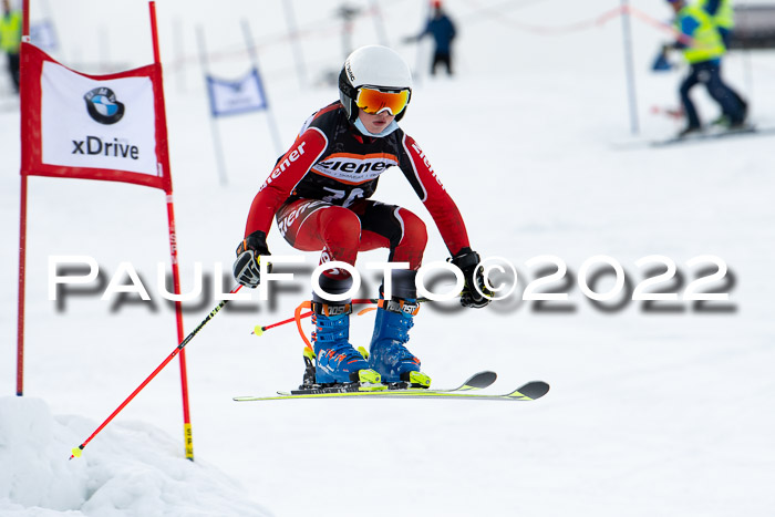 Ziener Kids Race Cross U12  Reg III + Ziener Cup WF