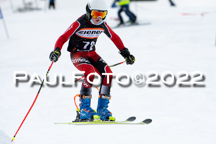 Ziener Kids Race Cross U12  Reg III + Ziener Cup WF