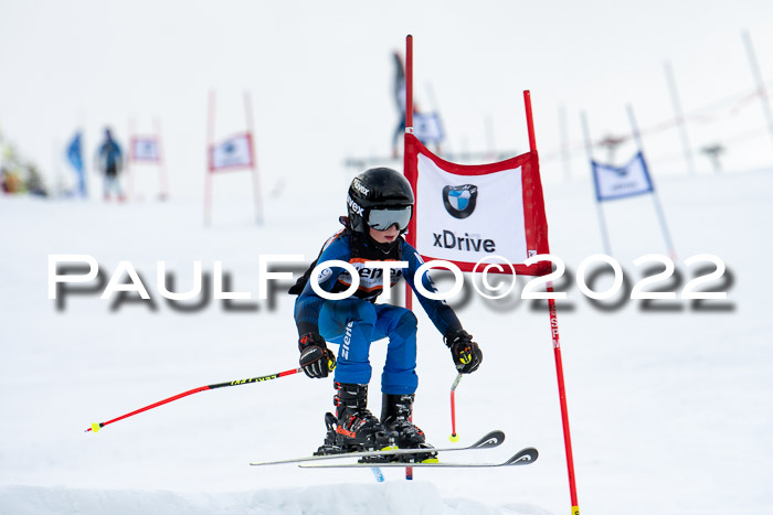 Ziener Kids Race Cross U12  Reg III + Ziener Cup WF