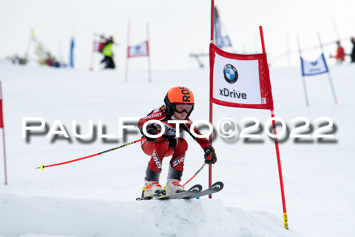 Ziener Kids Race Cross U12  Reg III + Ziener Cup WF