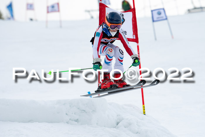 Ziener Kids Race Cross U12  Reg III + Ziener Cup WF