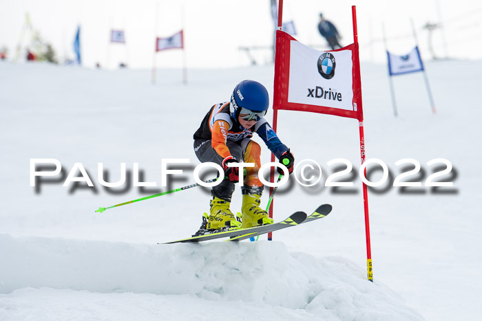 Ziener Kids Race Cross U12  Reg III + Ziener Cup WF