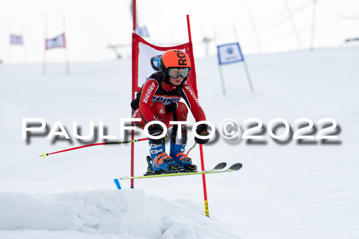 Ziener Kids Race Cross U12  Reg III + Ziener Cup WF