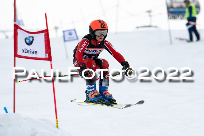 Ziener Kids Race Cross U12  Reg III + Ziener Cup WF