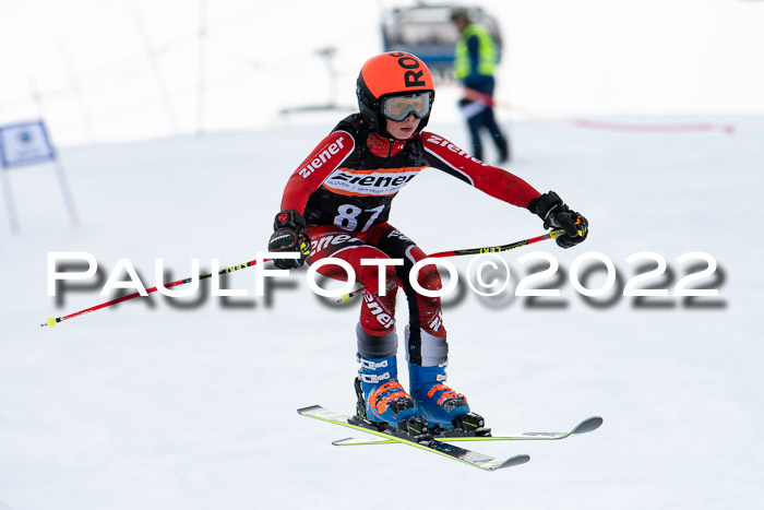 Ziener Kids Race Cross U12  Reg III + Ziener Cup WF