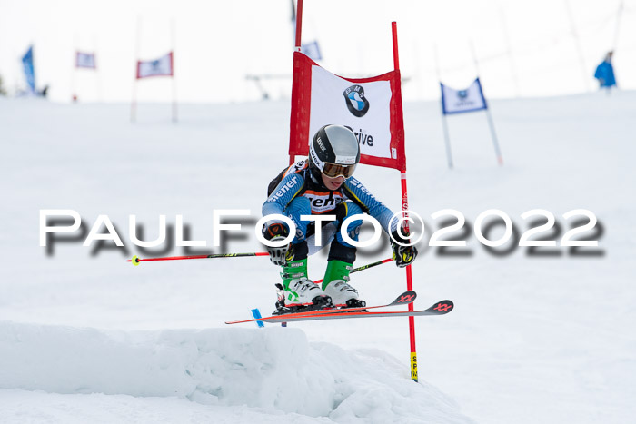 Ziener Kids Race Cross U12  Reg III + Ziener Cup WF