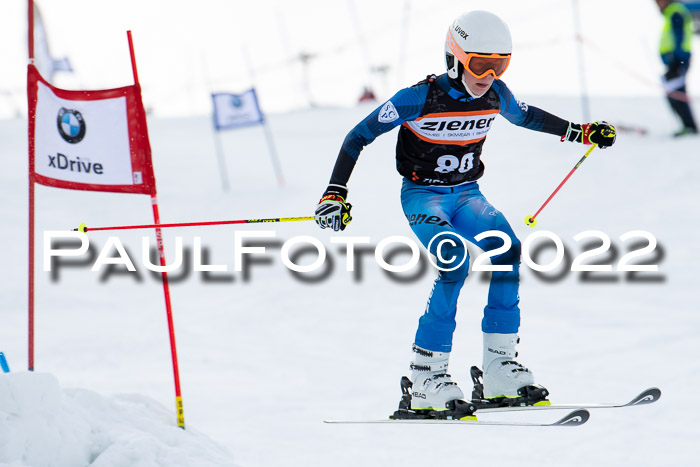 Ziener Kids Race Cross U12  Reg III + Ziener Cup WF