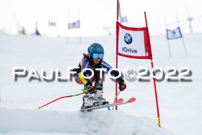 Ziener Kids Race Cross U12  Reg III + Ziener Cup WF