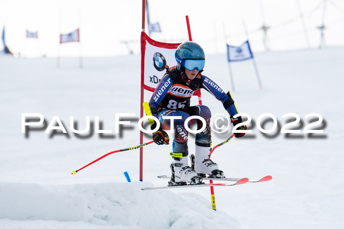 Ziener Kids Race Cross U12  Reg III + Ziener Cup WF