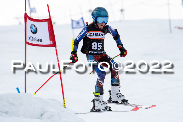 Ziener Kids Race Cross U12  Reg III + Ziener Cup WF