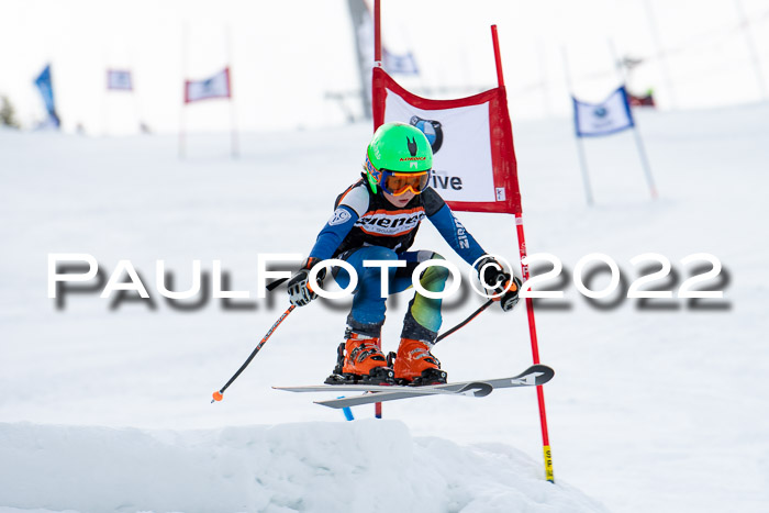 Ziener Kids Race Cross U12  Reg III + Ziener Cup WF