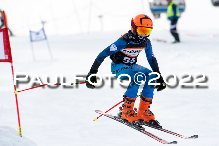 Ziener Kids Race Cross U12  Reg III + Ziener Cup WF