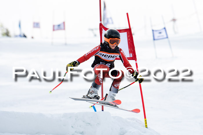 Ziener Kids Race Cross U12  Reg III + Ziener Cup WF