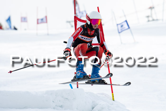 Ziener Kids Race Cross U12  Reg III + Ziener Cup WF